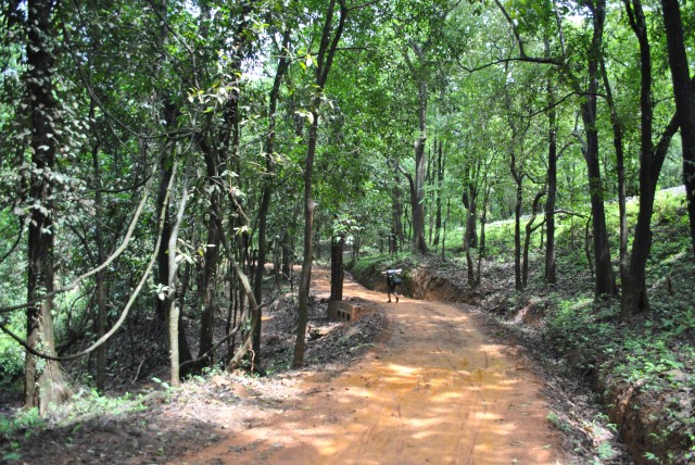 Dudhsagar falls trek inside forest