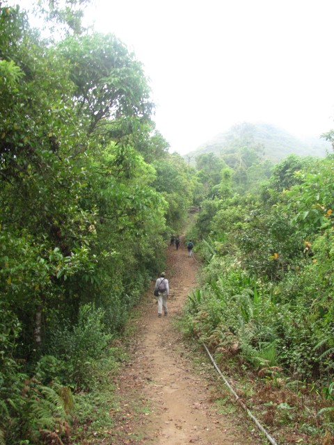 Kodai trek: only one steep  near Vellagavi