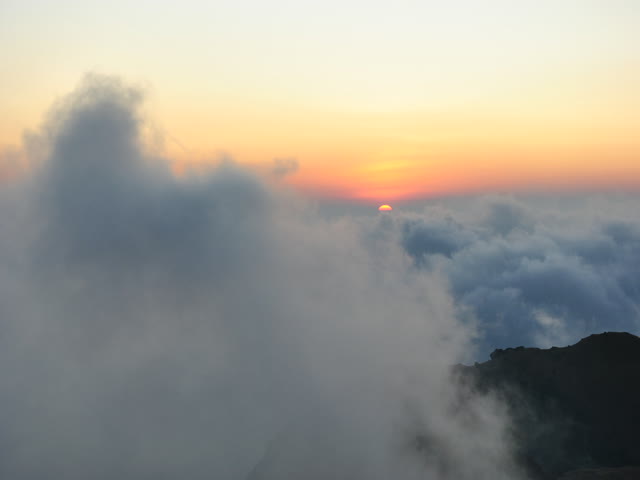 Tadiandamol trek: Above the Ocean of clouds  